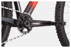 MTB Semi Rígida Cannondale Trail SL 3 29'' Rouge 2021 -Tienda De Bicicletas 18095815f55f7c7e3ea16.32655086