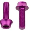 Wolf-tooth Pernos De Jaula De Botella De Agua Diente De Lobo (x4) M5x15 Mm Morado -Tienda De Bicicletas 206768660b88ece4b84a1.28709976